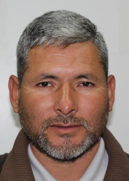 TEMISTOCLES DEIVER IBARRA SERNA