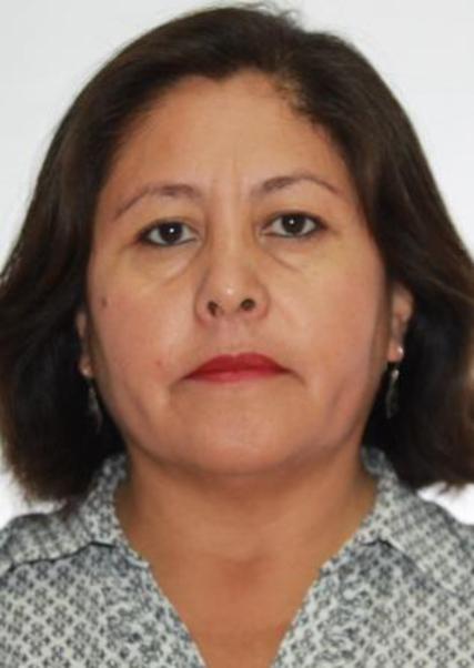 MERCEDES BEATRIZ RUIZ LLANCO