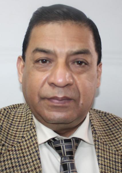 DAVID FERNANDO CABALLERO LLANOS