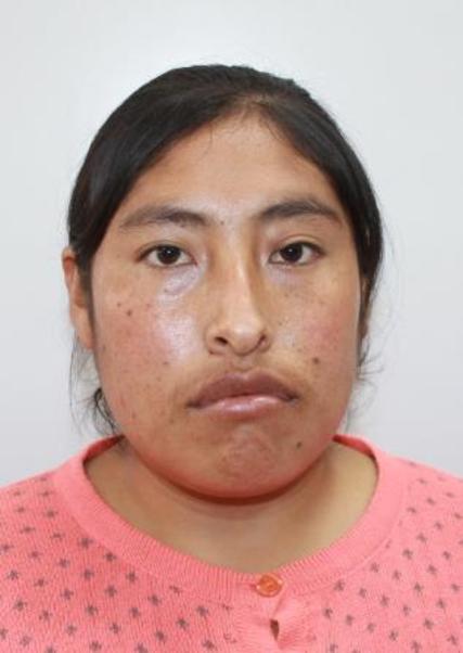 ELENA JESUSA NINALAYA POMAHUALI