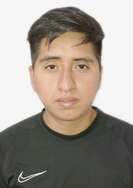 DIEGO SEBASTIAN QUISPE PAUCAS