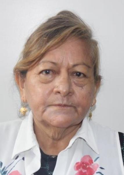 LOURDES GONZALES SANTILLAN