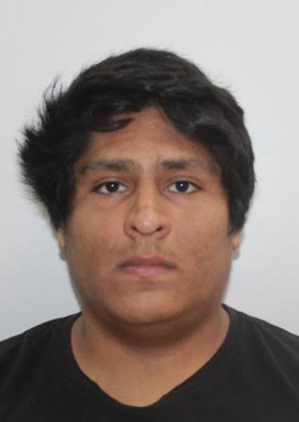 JESUS TOLEDO ZAMUDIO