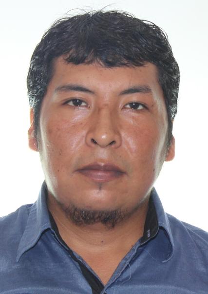 RICHARD SIMON FERNANDEZ MAMANI