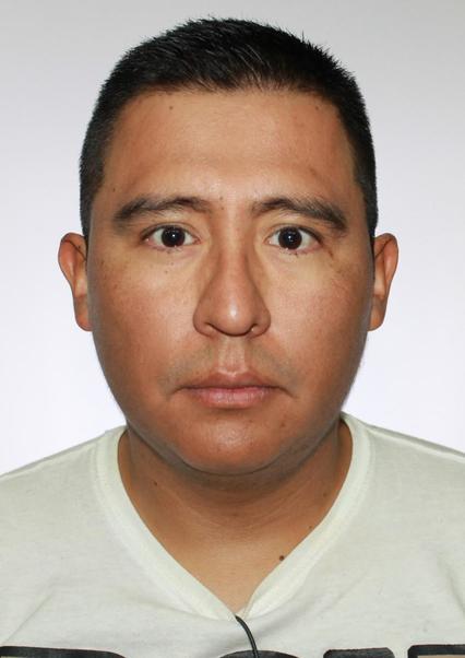 HANS ARTHUR GODOY QUISPE