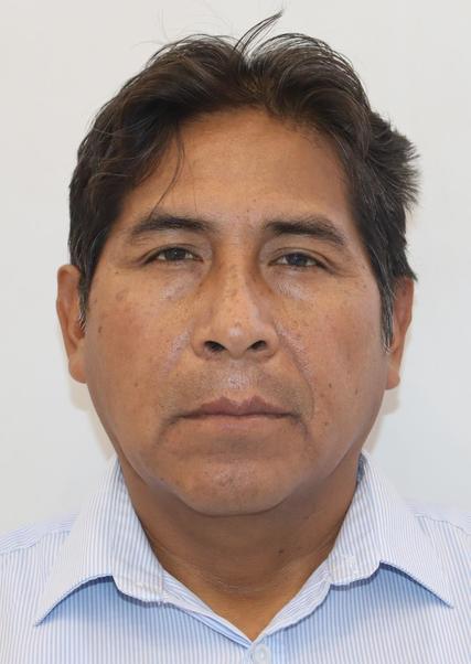 DAVID FRANCISCO MAMANI GUTIERREZ