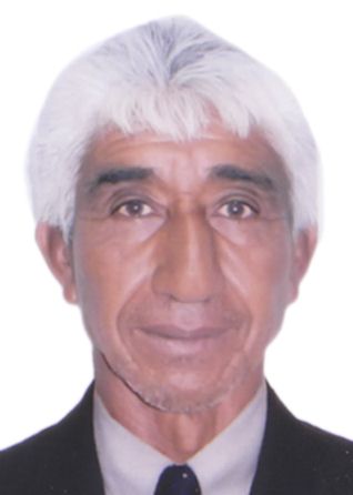 LUIS ALBERTO PULACHE BUSTAMANTE