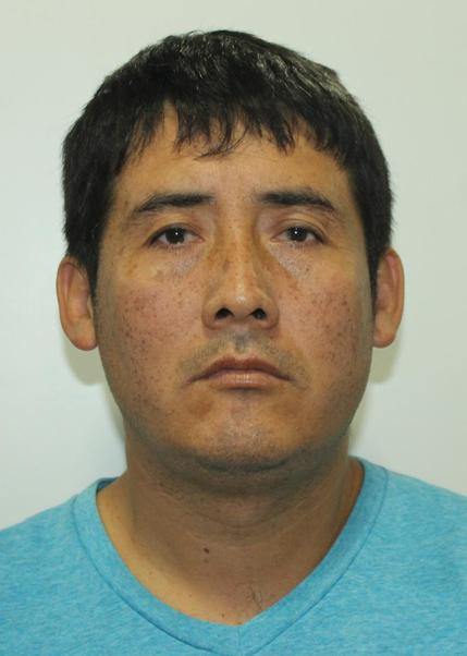 JULIO ENRIQUE BLESS PUYO