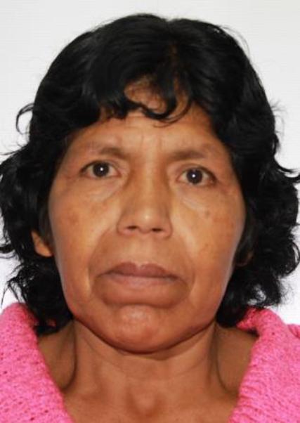 CARMEN LUZ HIJAR CATALAN