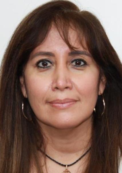 ERIKA PAOLA MEREJILDO ESPEJO