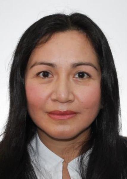 NOEMI CASTILLO CHAGUA