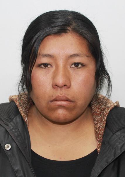 DIANA MARISOL HUANCA APAZA