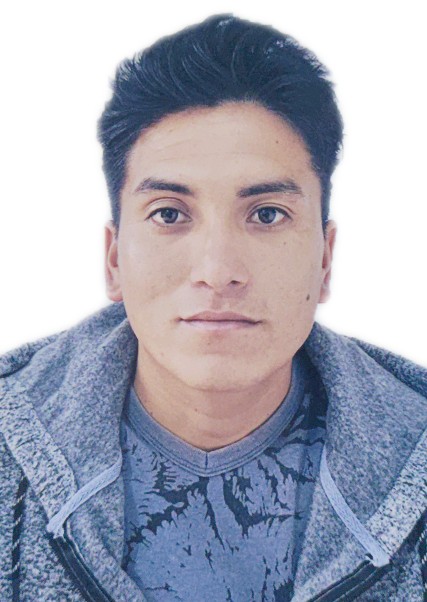 JULLIUS NEY PALOMINO BENITES