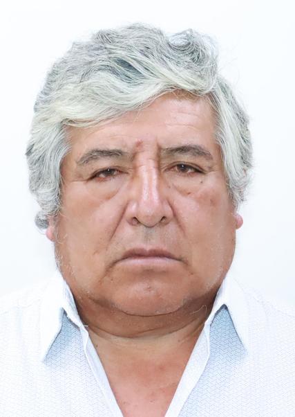 JUAN AMILCAR REYES LARICO