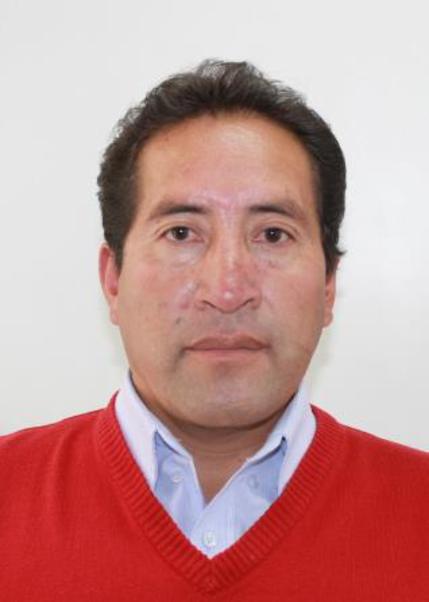 WILSON CARRASCO MEJIA