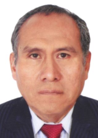 MIGUEL MANFREDINI ELIAS TORRES