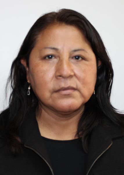 ROSA ISABEL GOMEZ CANQUI