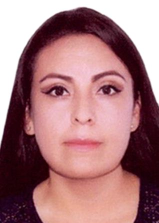 DENNIS MARDELY CALDERON GOICOCHEA