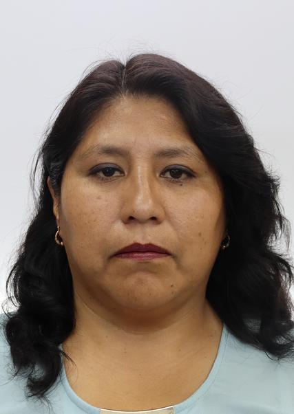 CAROLL NOEMI FLORES FLORES