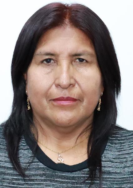 MERY ANTONIETA ZELA VALDIVIA