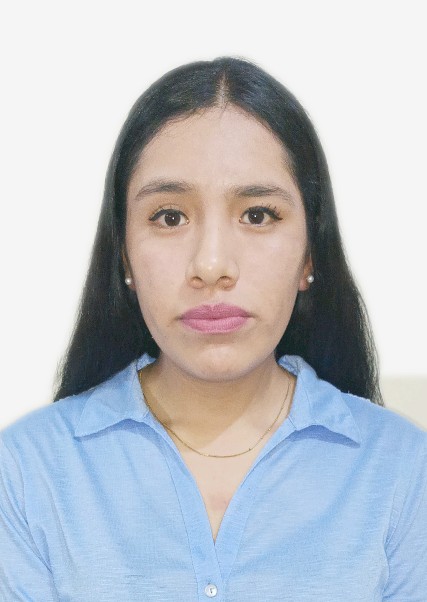 NOEMI DEYSI LIMA FLORES