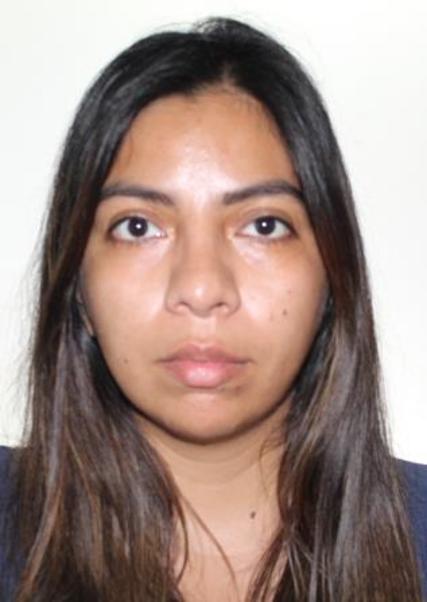 LISS DANIELLA STTEFANY PAREDES GRANDEZ