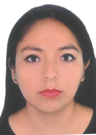 YORKA YASHIRA CASTILLO SILVA