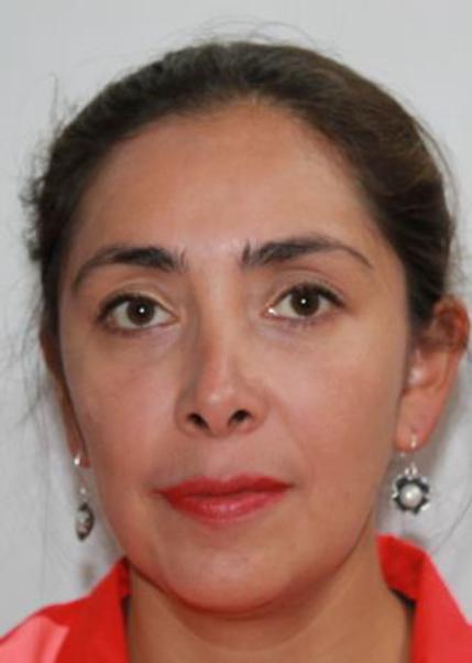 SANDRA KARINA CERNA MERINO