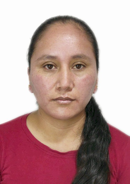 CAREN JULISSA MENESES PARDO