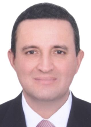 LUIS FERNANDO GOMEZ MEGO