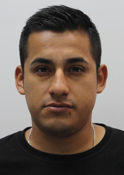 DIEGO MIGUEL CERNA GIL