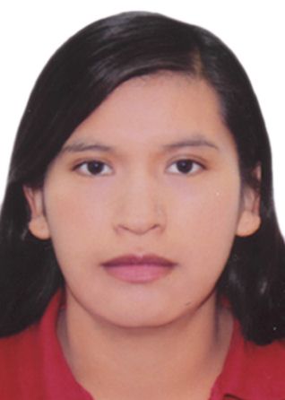 VIRGINIA CHUI QUISPE