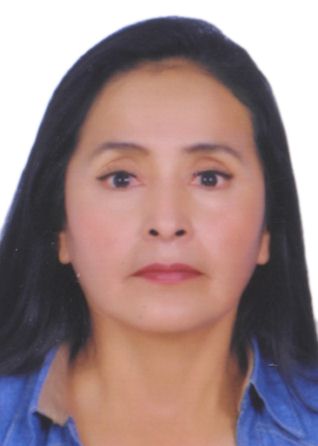 ELVA CLORINDA FLORES VELASQUEZ