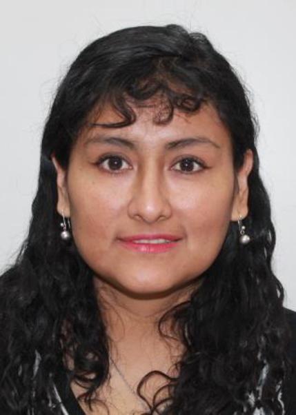 KARIN JANETH GARCIA GRADOS