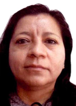 SOLEDAD DEL CARMEN ULLOA VASQUEZ