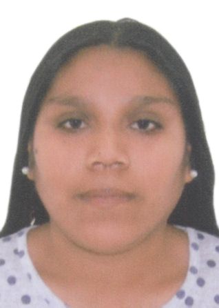 KAREN PAOLA ARANA TAPULLIMA