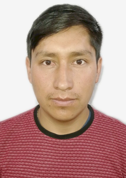 MICHAEL DAVID CHURATA TILA