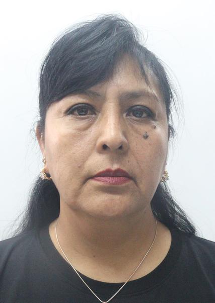 LOURDES FERNANDEZ GODOY