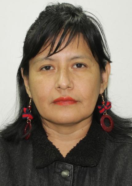 LUISA RUFINA MENESES RIVADENEYRA