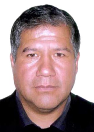 MARIO LUIS PALOMINO PASTRANA