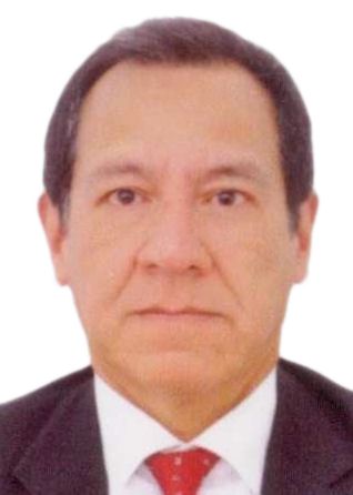 RICARDO GABRIEL PEREZ LUYO