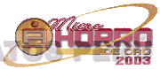 MICRO AHORRO DE ORO 2003