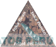 INKA BEAN, INKA POROTO, FRIJOL DEL INKA