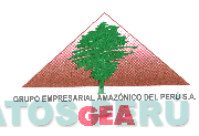 GRUPO EMPRESARIAL AMAZONICO DEL PERU S.A. GEA