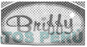 BRIFFY