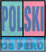 POLSKI SURF