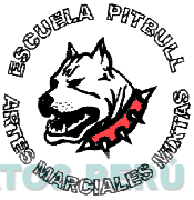 ESCUELA PITBULL ARTES MARCIALES MIXTAS