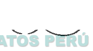 COMFORTECH