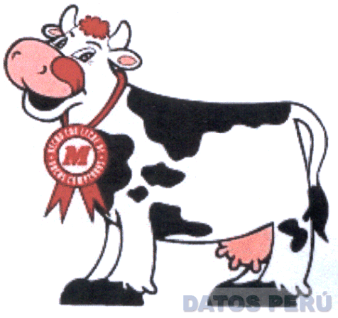 M HECHO CON LECHE DE VACAS CAMPEONAS