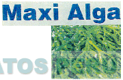 MAXI ALGA
